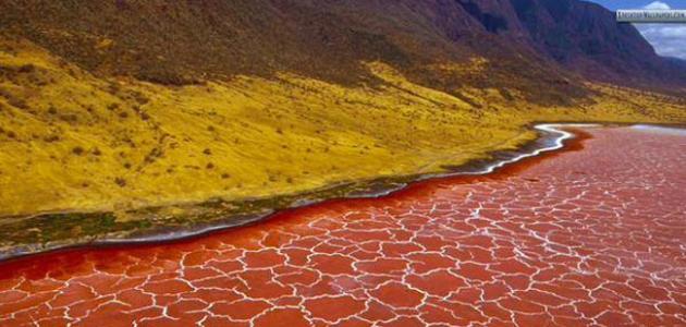 بحيرة النطرون صورة مقال بحيرة النطرون