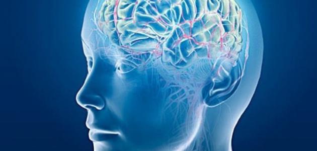 أول مبتكر لقياس الذكاء صورة مقال أول مبتكر لقياس الذكاء