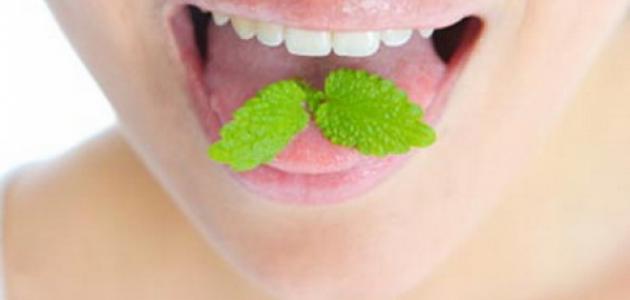 وصفة للتخلص من رائحة الفم الكريهة صورة مقال وصفة للتخلص من رائحة الفم الكريهة