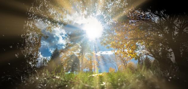 أسباب الهداية صورة مقال أسباب الهداية