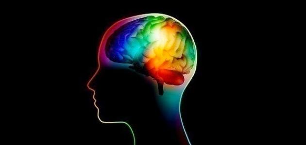 الفروق الفردية في التفكير والذكاء صورة مقال الفروق الفردية في التفكير والذكاء