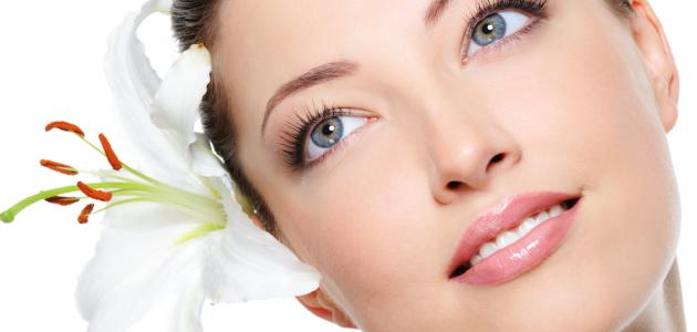 الاهتمام بالبشرة الدهنية صورة مقال الاهتمام بالبشرة الدهنية