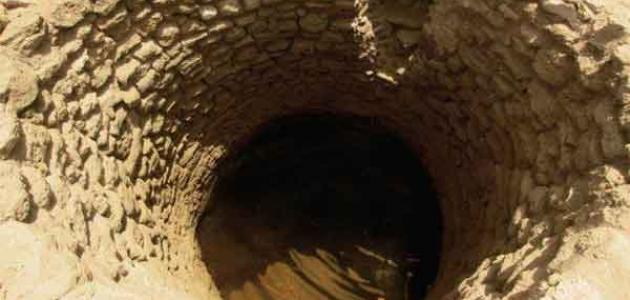 عيون موسى صورة مقال عيون موسى