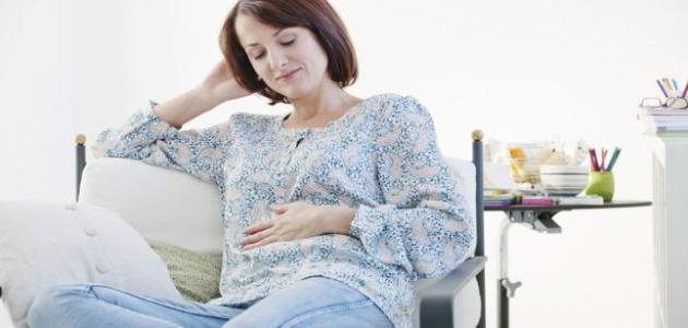 طرق تثبيت الحمل صورة مقال طرق تثبيت الحمل