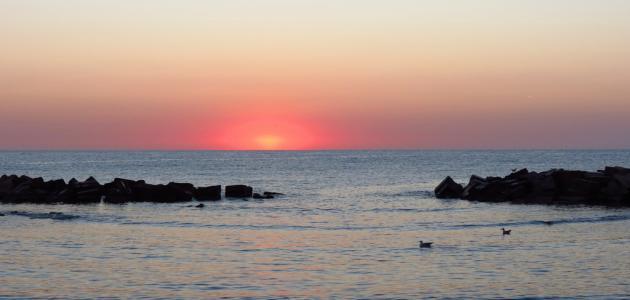 لماذا سمي البحر الأحمر بهذا الاسم صورة مقال لماذا سمي البحر الأحمر بهذا الاسم