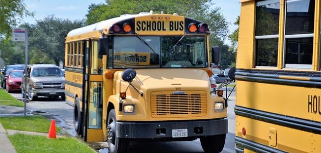 كتابة تقرير عن رحلة مدرسية صورة مقال كتابة تقرير عن رحلة مدرسية