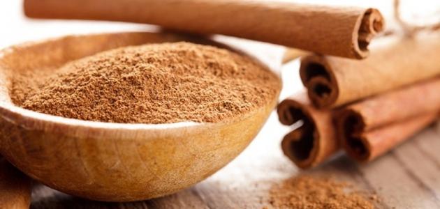 فوائد القرفة للبشرة صورة مقال فوائد القرفة للبشرة