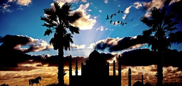 كلام في الإسلام صورة مقال كلام في الإسلام