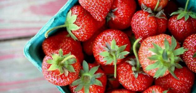 فوائد الفريز صورة مقال فوائد الفريز