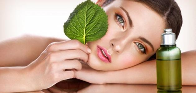 فوائد النعناع للبشرة صورة مقال فوائد النعناع للبشرة
