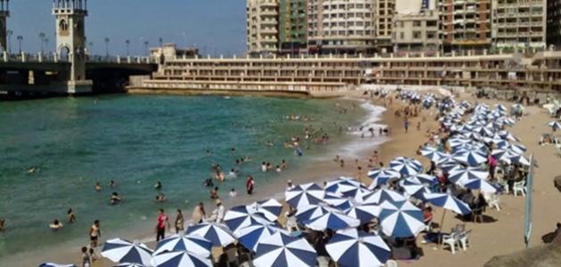 محافظة الإسكندرية صورة مقال محافظة الإسكندرية