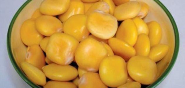 فوائد الترمس للبشرة صورة مقال فوائد الترمس للبشرة