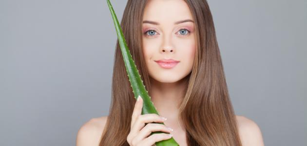 فوائد الصبار للوجه صورة مقال فوائد الصبار للوجه