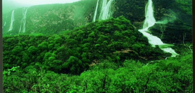 محافظة ظفار صورة مقال محافظة ظفار