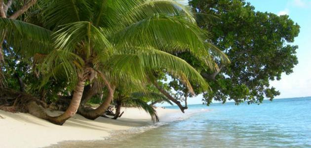 جزيرة مدغشقر صورة مقال جزيرة مدغشقر