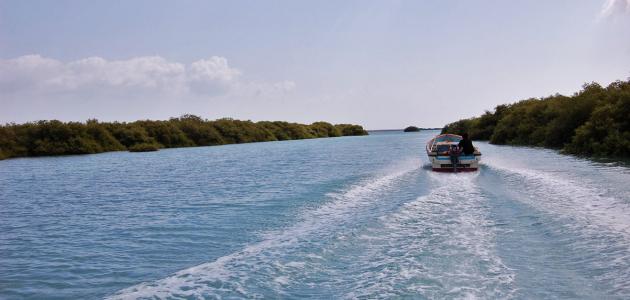 جزيرة كمران صورة مقال جزيرة كمران