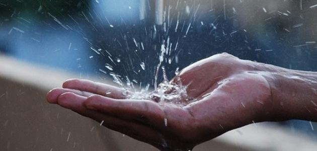 فوائد ماء المطر صورة مقال فوائد ماء المطر