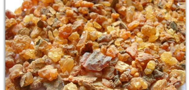 استعمالات المر صورة مقال استعمالات المر