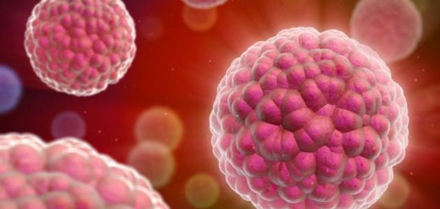 سرطان البروستاتا عند الرجال في الاردن صورة مقال سرطان البروستاتا عند الرجال في الاردن