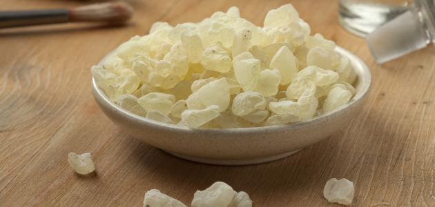 فوائد المستكة صورة مقال فوائد المستكة