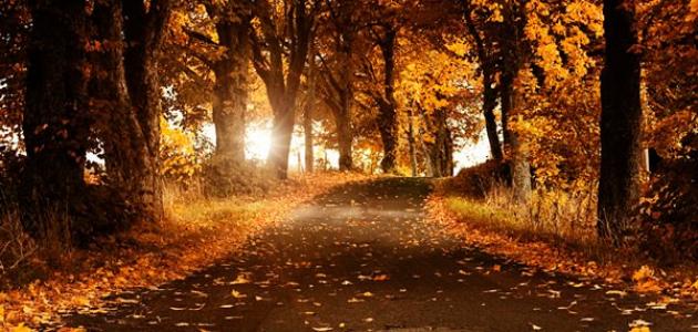 كلام درر وحكم صورة مقال كلام درر وحكم