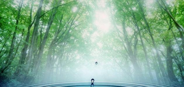 ماذا يسمى انتشار الماء صورة مقال ماذا يسمى انتشار الماء