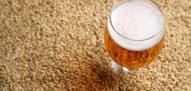 فوائد الشعير للبشرة صورة مقال فوائد الشعير للبشرة