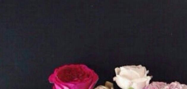 حكم عن الدنيا والناس صورة مقال حكم عن الدنيا والناس