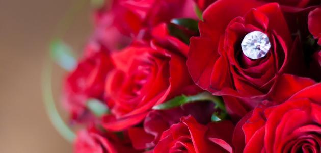 أجمل ما قيل في المرأة والحب صورة مقال أجمل ما قيل في المرأة والحب