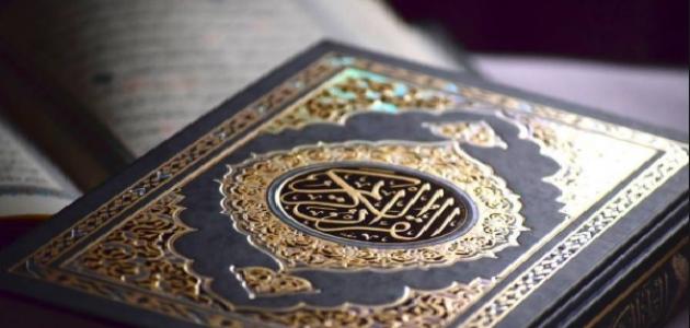 تعلم أحكام التجويد صورة مقال تعلم أحكام التجويد