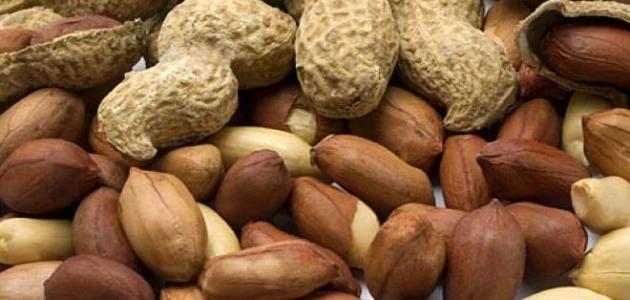 فوائد الفول السوداني للحامل صورة مقال فوائد الفول السوداني للحامل