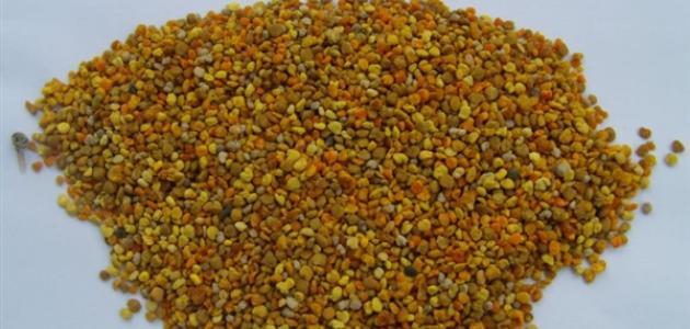 فوائد حبوب اللقاح للبشرة صورة مقال فوائد حبوب اللقاح للبشرة