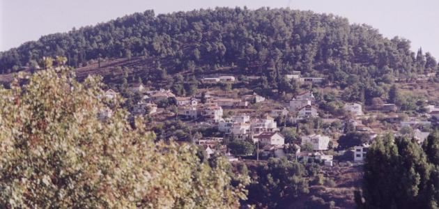 مدينة صفد صورة مقال مدينة صفد