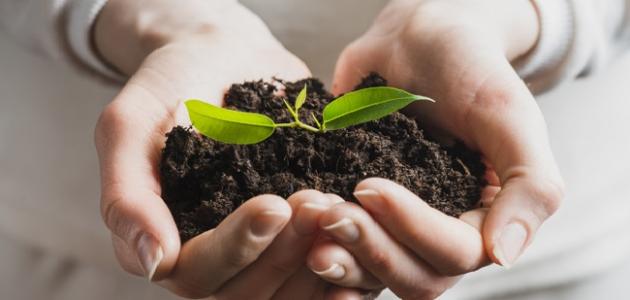 كيف أعبر عن حبي لوطني صورة مقال كيف أعبر عن حبي لوطني