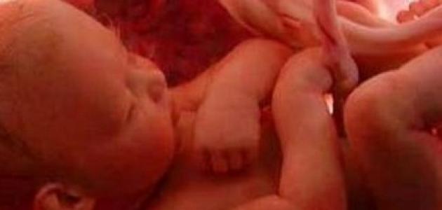 كم وزن الجنين في الشهر الخامس صورة مقال كم وزن الجنين في الشهر الخامس