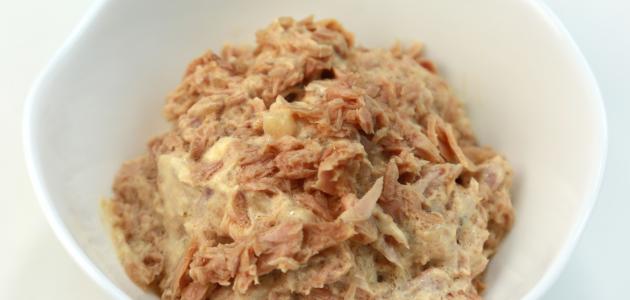 سلطة التونة بالمايونيز صورة مقال سلطة التونة بالمايونيز