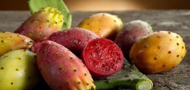 فوائد الصبار صورة مقال فوائد الصبار