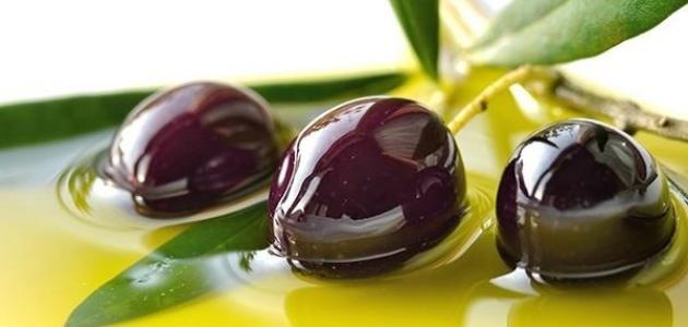 زيت الزيتون صورة مقال زيت الزيتون