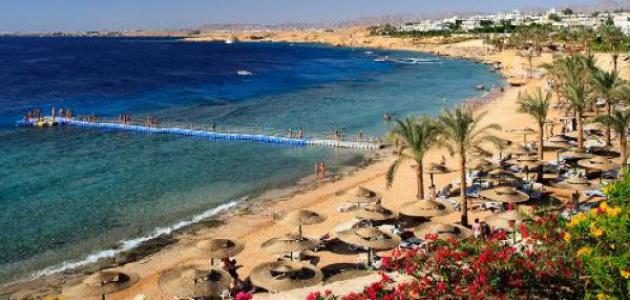 تقرير عن السياحة في شرم الشيخ صورة مقال تقرير عن السياحة في شرم الشيخ