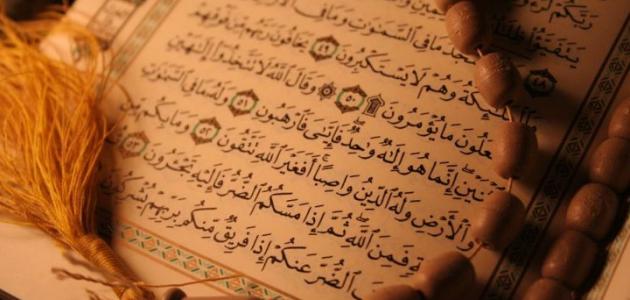 من هي أول فدائية في الإسلام صورة مقال من هي أول فدائية في الإسلام