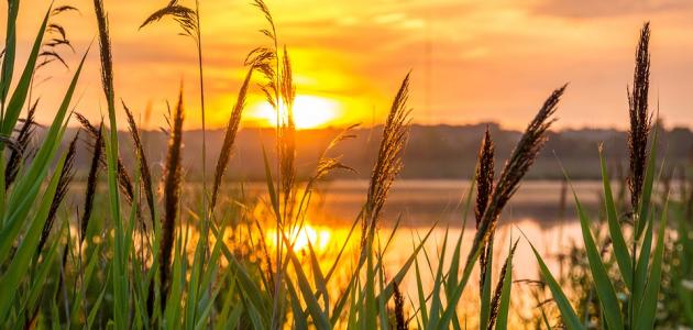 خواطر الصباح قصيرة صورة مقال خواطر الصباح قصيرة