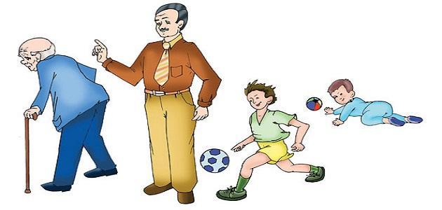 مراحل الحياة صورة مقال مراحل الحياة