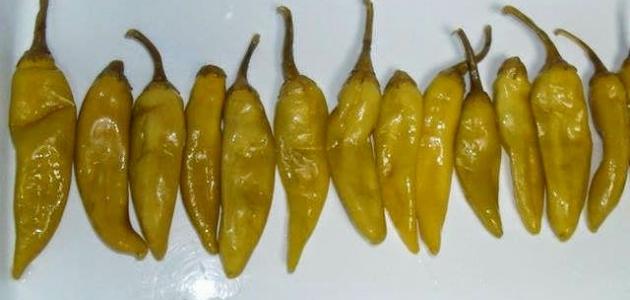 طريقة تخليل الفلفل صورة مقال طريقة تخليل الفلفل