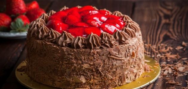 كيك عيد الميلاد بالشوكولاتة صورة مقال كيك عيد الميلاد بالشوكولاتة