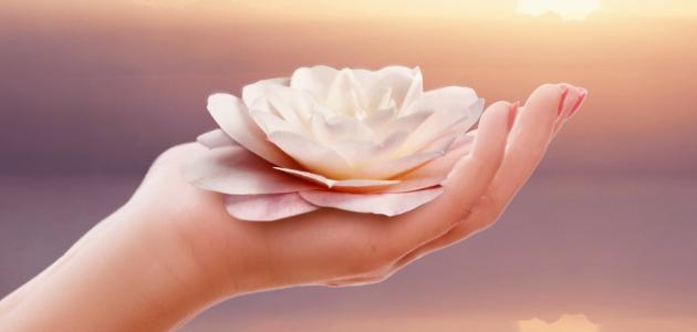 كلام عن الطيبة صورة مقال كلام عن الطيبة