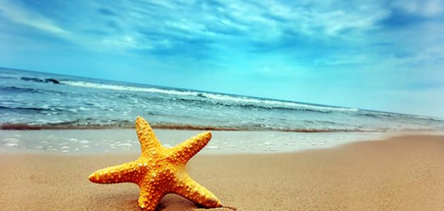 حكمة عن البحر صورة مقال حكمة عن البحر