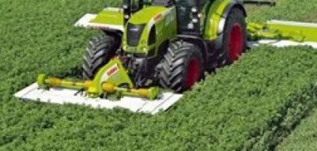 طريقة زراعة البرسيم صورة مقال طريقة زراعة البرسيم