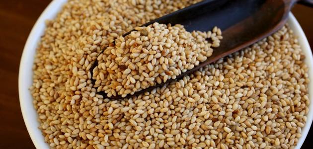 فوائد الدخن للشعر صورة مقال فوائد الدخن للشعر