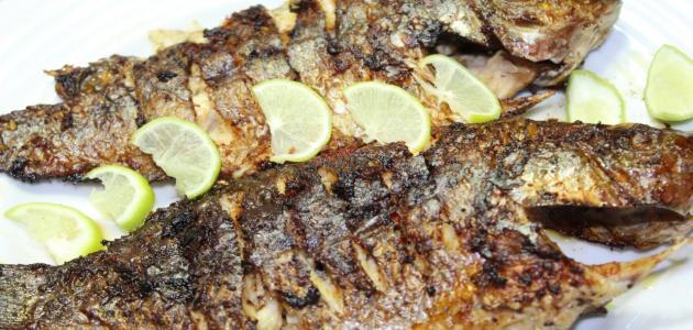 طريقة عمل السمك البلطي المشوي صورة مقال طريقة عمل السمك البلطي المشوي